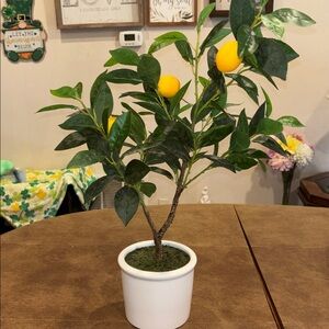 Threshold Potted Lemon Faux Tree